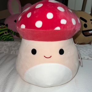 malcolm the mushroom squishmallow